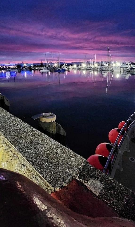 Seaduction Luxury Apartment Napier Esterno foto